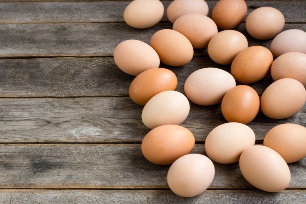egg labels egg labels