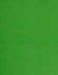 5 1/2x2 1/4 Labels - Green (for laser & inkjet printers) - Rectangle - SL1-TG