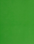 8.5&quot; x 11&quot; 4VS Full Sheet - Green Labels