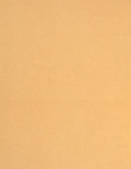 8.5&quot; x 11&quot; Horizontal Slit Full Sheet - Tan Labels