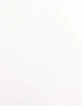 8.5x14 Labels - Spectacle® White Matte Laser (for laser printers) - Rectangle - SL8111VS - 1 Back Slit-SPL