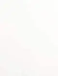 2/3x3-7/16 File Folder Labels - All Temperature Latex White (for laser printers) - Rectangle - SL109-LL