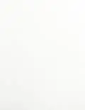 2 17/48x3 1/16 Labels - Removable White Polyester Weatherproof (for laser printers) - Rectangle - SL539-RXW