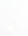 4.25x11 Labels - White Gloss Polyester Weatherproof (for laser printers) - Rectangle - SL516-GXW