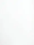 3.25x2.25 Labels - Matte Inkjet Weatherproof (for inkjet printers) - Rectangle - SL9-XJ
