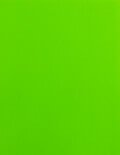 2 Round Circle Labels - Fluorescent Green (for laser &amp; inkjet printers) - Circle - SL123B-FG