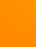 1.67&quot; Round Circle - Fluorescent Orange Labels