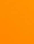 1 5/8&quot; x 1 5/8&quot; - Fluorescent Orange Labels