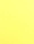 1.67&quot; Circle - Pastel Yellow Labels