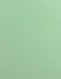Pastel Green (Inkjet or Laser)